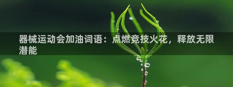 尊龙 ag：器械运动会加油词语：点燃竞技火花，释放无