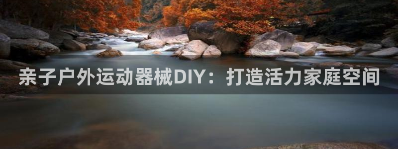 尊龙凯时城游戏官网：亲子户外运动器械DIY：打造活力