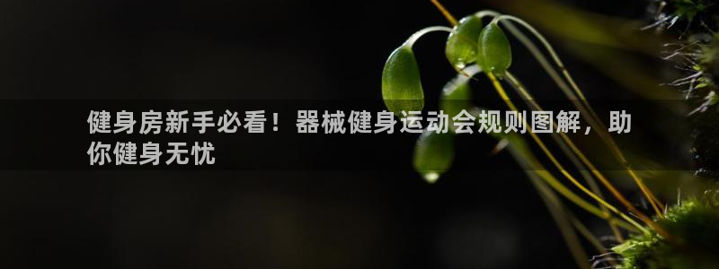 尊龙科技：健身房新手必看！器械健身运动会规则图解，助