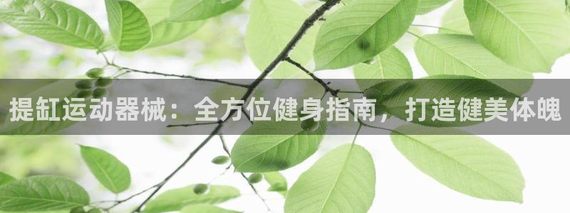 尊龙z6.con：提缸运动器械：全方位健身指南，打造