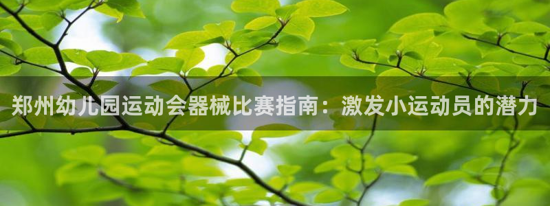 凯时k88最新：郑州幼儿园运动会器械比赛指南：激发小